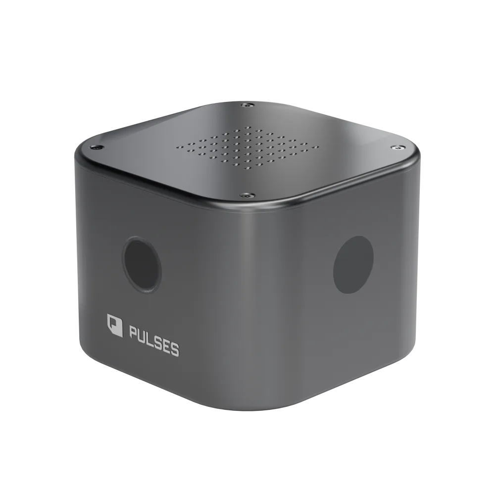 Pulses Vision Tower